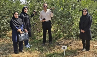 بازدید نمایندگان مرکز ملی مدیریت منابع ژنتیکی و مؤسسه تحقیقات علوم باغبانی از کلکسیون ژرم‌پلاسم انار ایران در ساوه