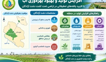افزایش تولید با کاربرد یافته‌های تحقیقاتی در شرایط شور دشت آزادگان
