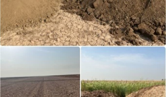 آغاز نخستین پایلوت چهار هکتاری شورورزی بخش خصوصی در استان خوزستان