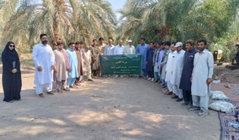 برگزاری  برنامه ترویجی روز مزرعه کنجد با محوریت معرفی ارقام در شهرستان دلگان، سیستان و بلوچستان