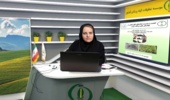 اهمیت و مدیریت نماتدهای انگل گیاهی در نهالستان‌های مرکبات ایران