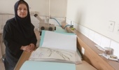 گردآوری و شناسایی بیش از ۸ هزار نمونه گیاهی در هرباریوم علفهای هرز موسسه تحقیقات گیاهپزشکی کشور
