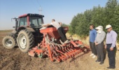 آغاز کشت‌های پاییزه با کاشت کلزا در ایستگاه‌های مهرگان و اسلام‌آباد کرمانشاه