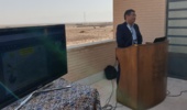 پاسخ به تغییرات اقلیمی با «شورورزی»؛ از تامین علوفه تا مهار ریزگردها
