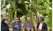 یزد، قطب علمی مقابله با شوری در کشور