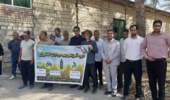 دوره آموزشی ترویجی اصول احداث بادشکن در مزارع