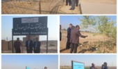 بازدید رئیس موسسه تحقیقات فنی مهندسی کشاورزی از مزرعه تحقیقات شوری صدوق