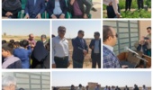 «روز انتقال یافتههای تحقیقاتی کشاورزی در شرایط شور» در استان یزد با هدف افزایش بهرهوری و توانمندسازی کشاورزان