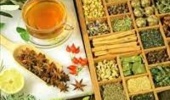 دوره تخصصی «فرصت‌های سرمایه‌گذاری در صنعت گیاهان دارویی»