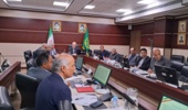 برگزاری جلسه شورای راهبردی در حوزه دام با محوریت بررسی چالشهای کلان