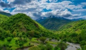 تولید نهال‌های بومی با رویکرد اقتصادی و همکاری‌های پژوهشی در راستای احیای منابع طبیعی