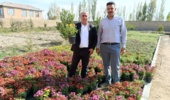 بازدید کارشناسان بخش ثبت و گواهی بذر و نهال از محموله‌های صادراتی نهال آذربایجان غربی