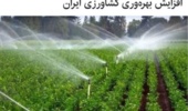 هوشمندسازی مزارع، کلید عبور از بحران آب و افزایش بهره‌وری کشاورزی ایران
