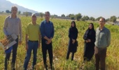 بازدید اعضای هیات علمی موسسه تحقیقات گیاه پزشکی کشور؛