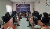 کارگاه آموزشی "آگاهیبخشی و پیشگیری از بیماریهای نوپدید و شایع زنان"