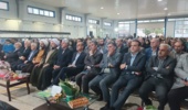 برداشت طلای سبز با طعم توسعه