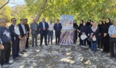 بررسی عارضه خشکیدگی درختان باغات سیرچ استان کرمان