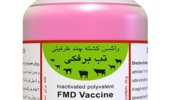 جداسازی ویروس تب برفکی SAT1 و تولید بذر واکسن در موسسه رازی