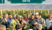 ماهنامه خبری آموزش و ترویج بادصبا ; شهریور 1404