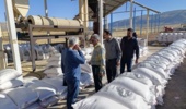 ارزیابی و نمونهبرداری از پارتهای بذر گندم و جو اصلاحشده در استان ایلام