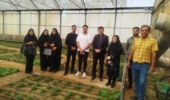بازدید دانشجویان دانشگاه اردکان از کلکسیون ذخائر توارثی انار کشور در یزد