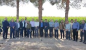 برگزاری روز مزرعه با محور «ارتقای بهره‌وری مصرف آب» در کشاورزی استان سمنان
