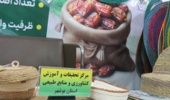 حضور فعال مرکز تحقیقات بوشهر در هفتمین نمایشگاه بین‌المللی تخصصی خرما و صنایع وابسته