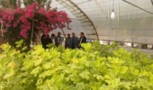 بازدید میدانی مدیران سازمان تحقیقات آموزش و ترویج کشاورزی (تات) از واحد آموزش آرادان