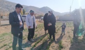 ارتقای دانش کشاورزان سلسلهای با برگزاری دوره آموزشی «آشنایی با آفات و بیماریهای زعفران»