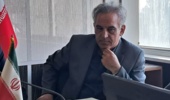 برای نجات بلوطهای زاگرس باید به سراغ ارقام مقاوم برویم