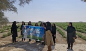 کارگاه آموزشی  ترویجی تولید محصول گواهی‌شده در سایت الگویی آبدان