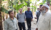 بازدید از اراضی کشت موز ایستگاه باهوکلات چابهار