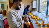اجرای طرح تحقیقاتی بررسی تاثیر کاربرد کود مایع آلی بر صفات بیوشیمیایی برگ، کیفیت میوه پرتقال و برخی ویژگیهای کیفی خاک