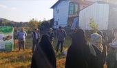 برگزاری کارگاه آموزشی و ترویجی روز انتقال یافتههای تحقیقاتی با محوریت کنترل بیماری های مرکبات و مگس میوه مدیترانه ای