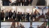 ارائه دستاوردهای علمی و بازدید از آزمایشگاه کشت بافت و گلخانه تحقیقاتی آناناس پژوهشکده خرما و میوه‌های گرمسیری