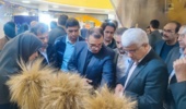 حضور مرکز تحقیقات کشاورزی گلستان در بیست‌وششمین نمایشگاه دستاوردهای پژوهش و فناوری