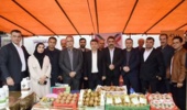 تالش میزبان نشست راهبردی کیوی