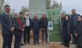برگزاری کارگاه آموزشی بین‌المللی اصلاح و بهسازی باغات زیتون در گرمسار