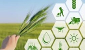 آموزش ملی کسب‌وکارهای نوین؛ گامی امیدبخش برای تحول دیجیتال در کشاورزی ایران