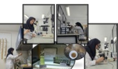 دستیابی به فناوری تکثیر میکروجلبکهای بومی گیلان