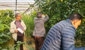 بازدید محققین و کارشناسان موسسه تحقیقات ثبت و گواهی بذر و نهال از پژوهشکده مرکبات و میوههای نیمهگرمسیری