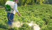 ارزیابی احتمال خطر آفتکشها در کشاورزی رویکردی علمی برای کاهش مخاطرات بهداشتی و زیستمحیطی و حرکت به سوی کاربرد آفتکشهای کمخطر