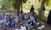 بازدید دانشآموزان از ایستگاه تحقیقات خرما و میوههای گرمسیری