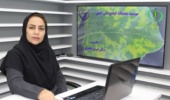 تشخیص و مدیریت بیماری برگ سوختگی بادام