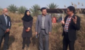 بازدید معاون برنامه‌ریزی و پشتیبانی و مدیر امور مالی موسسه  تحقیقات علوم باغبانی از پژوهشکده خرما و میوه‌های گرمسیری