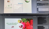 ارائه فناوریهای نوین تولید فرآوردههای فراسودمند انار در وبینار علمی پژوهشکده مرکبات و میوههای نیمهگرمسیری