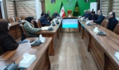 ایران میزبان ذخایر جهانی زیتون