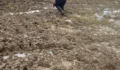 پایداری و نوآوری در دل چالشها
