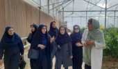 تداوم فعالیتهای پژوهشی مرکز تحقیقات و آموزش کشاورزی و منابع طبیعی استان سمنان در شرایط جنگی