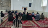 مدیریت تلفیقی بیماریهای گندم از زمان کاشت تا برداشت گندم